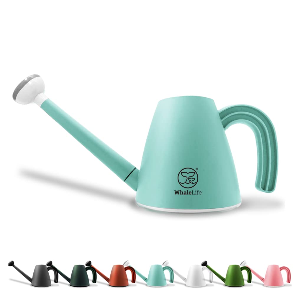 WhaleLife Indoor Watering Can blue model front view
