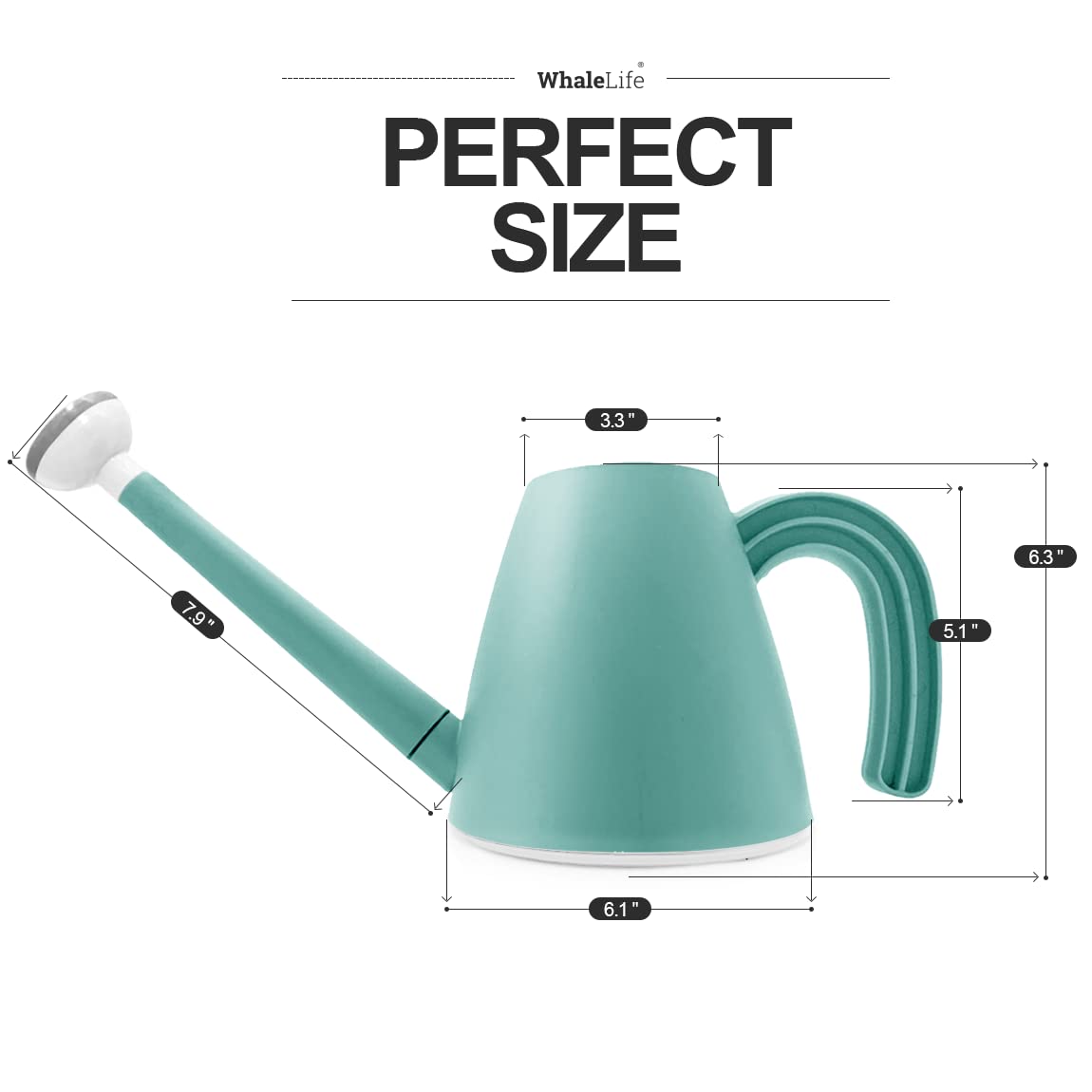 WhaleLife Indoor Watering Can in use with houseplants