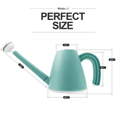 WhaleLife Indoor Watering Can in use with houseplants