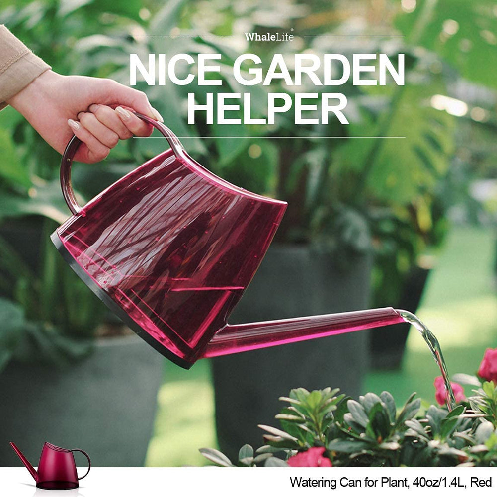 WhaleLife Small Indoor Watering Can top view with fill opening