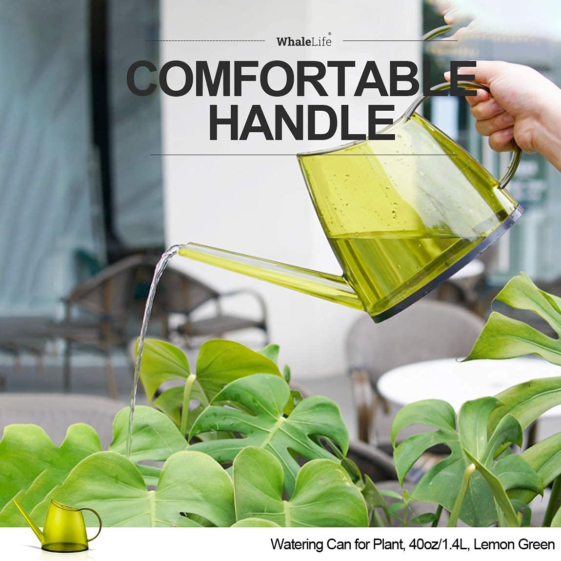 WhaleLife watering can filled with water on a shelf