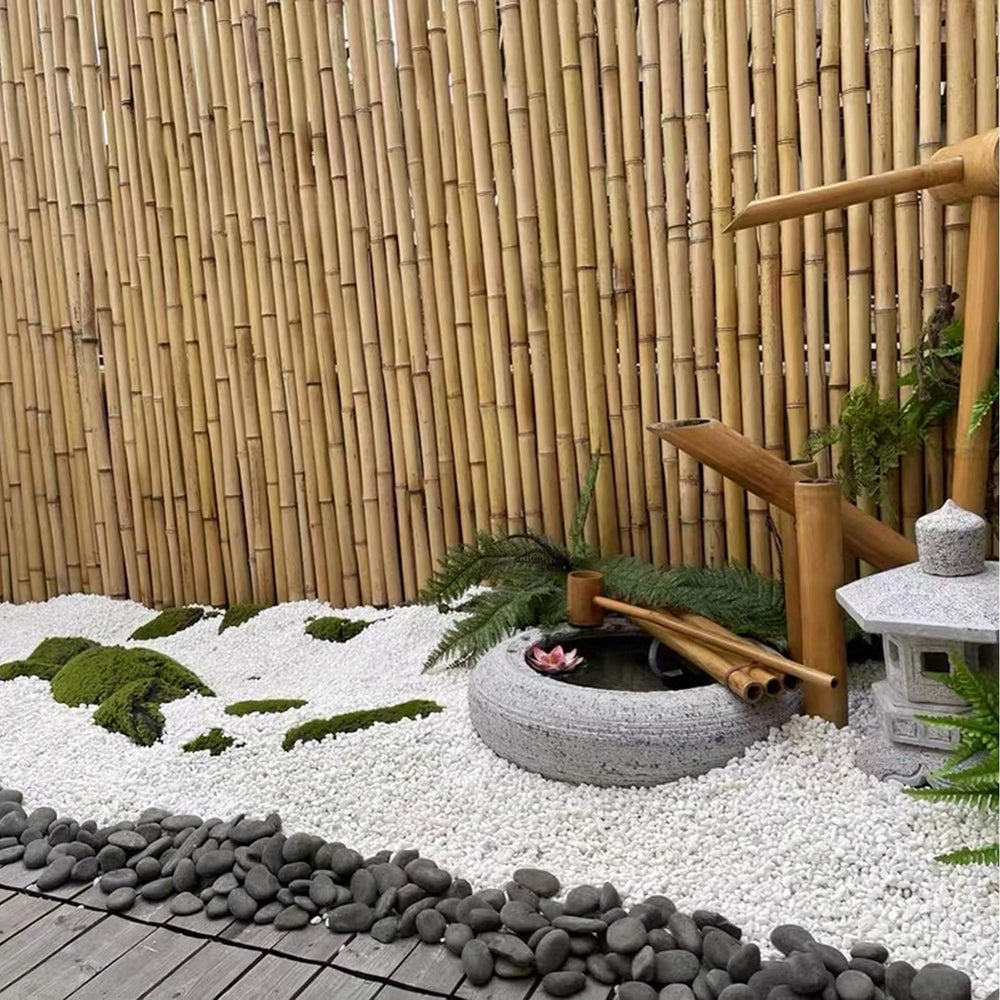 White pebbles arranged around potted succulents