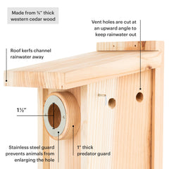 WHITEHORSE Bluebird House side view highlighting entry hole