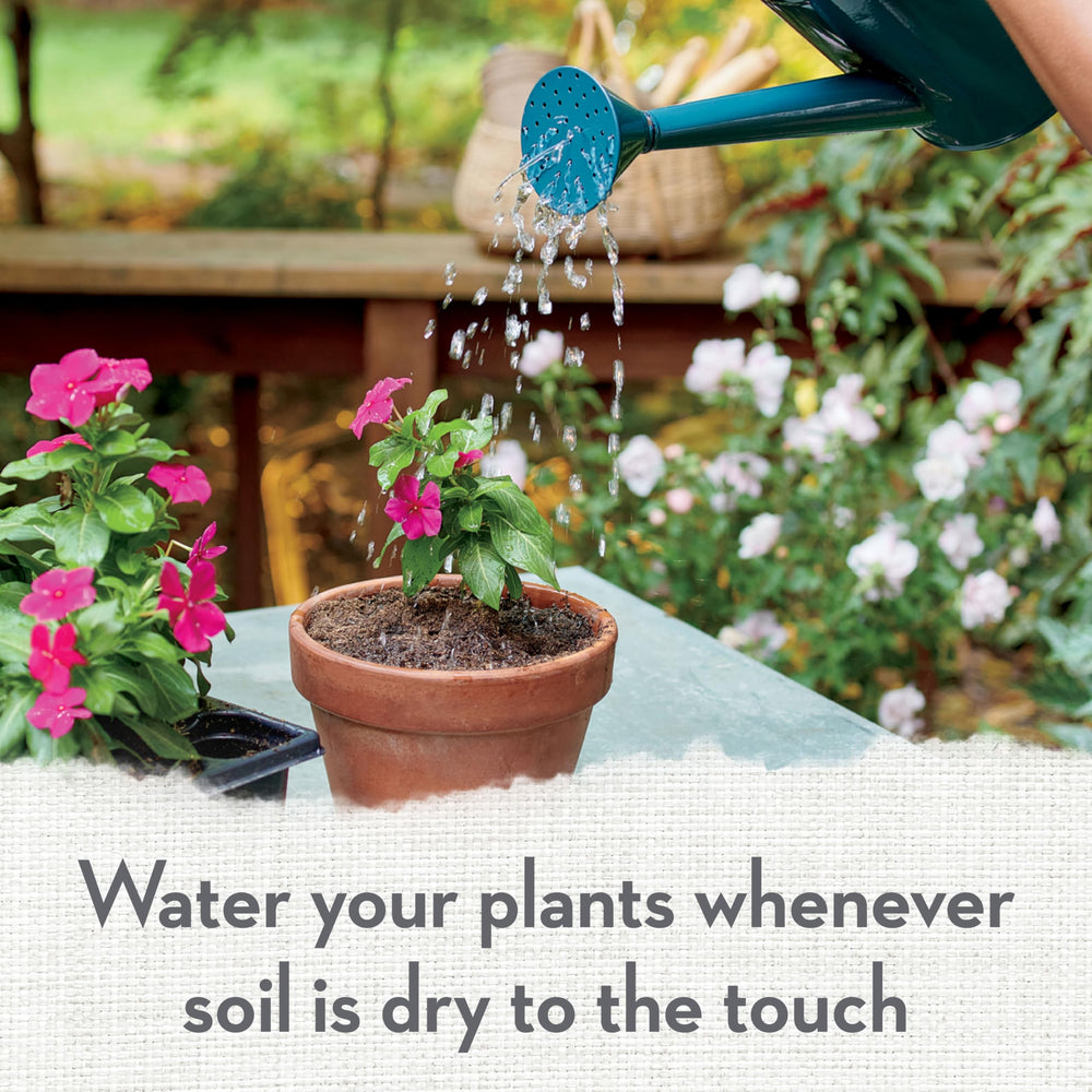 Whitney Farms Organic Potting Soil packaging details