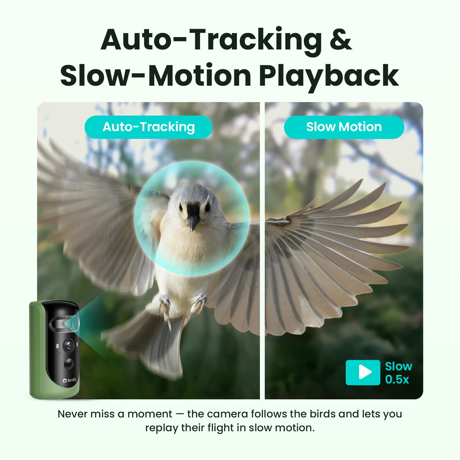 Wide-angle view of Birdfy feeder capturing birds