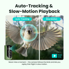 Wide-angle view of Birdfy feeder capturing birds