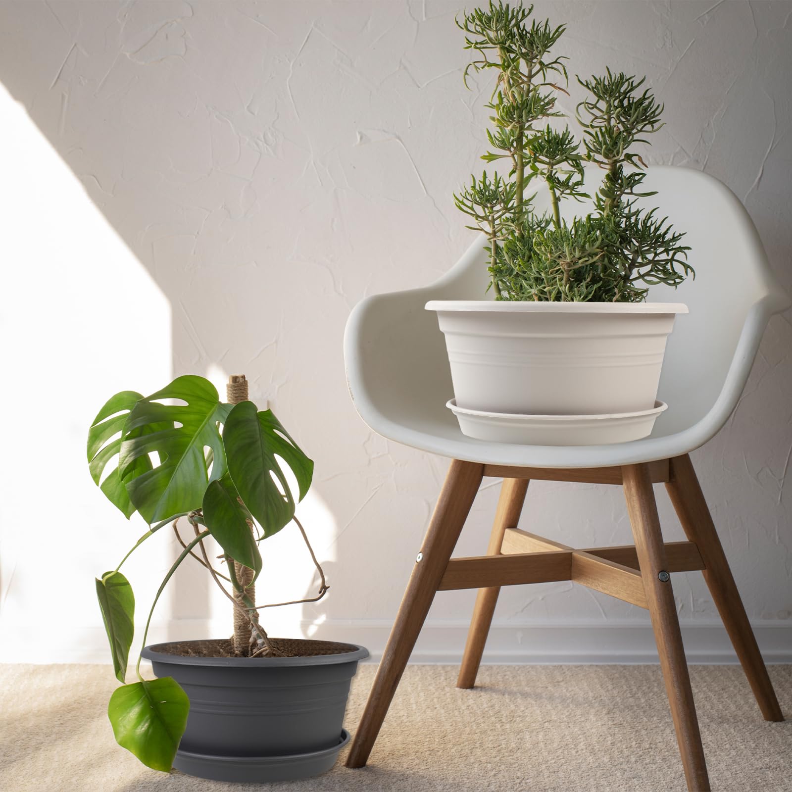 Wide base design of NNARRE 10 inch pot
