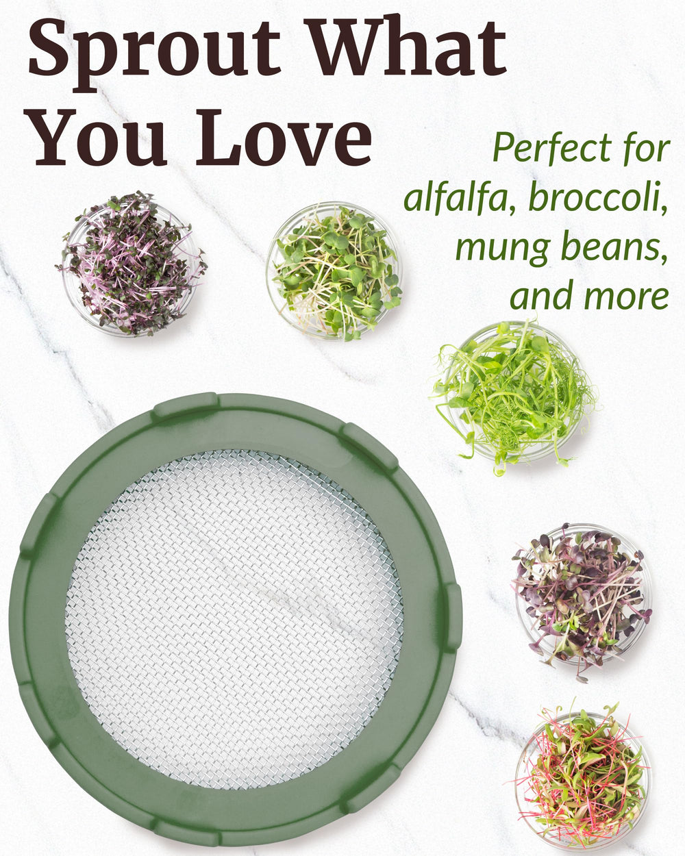 Wide mouth mason jar with sprouts using Elementi sprouting lid