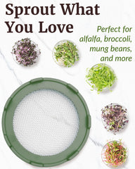 Wide mouth mason jar with sprouts using Elementi sprouting lid