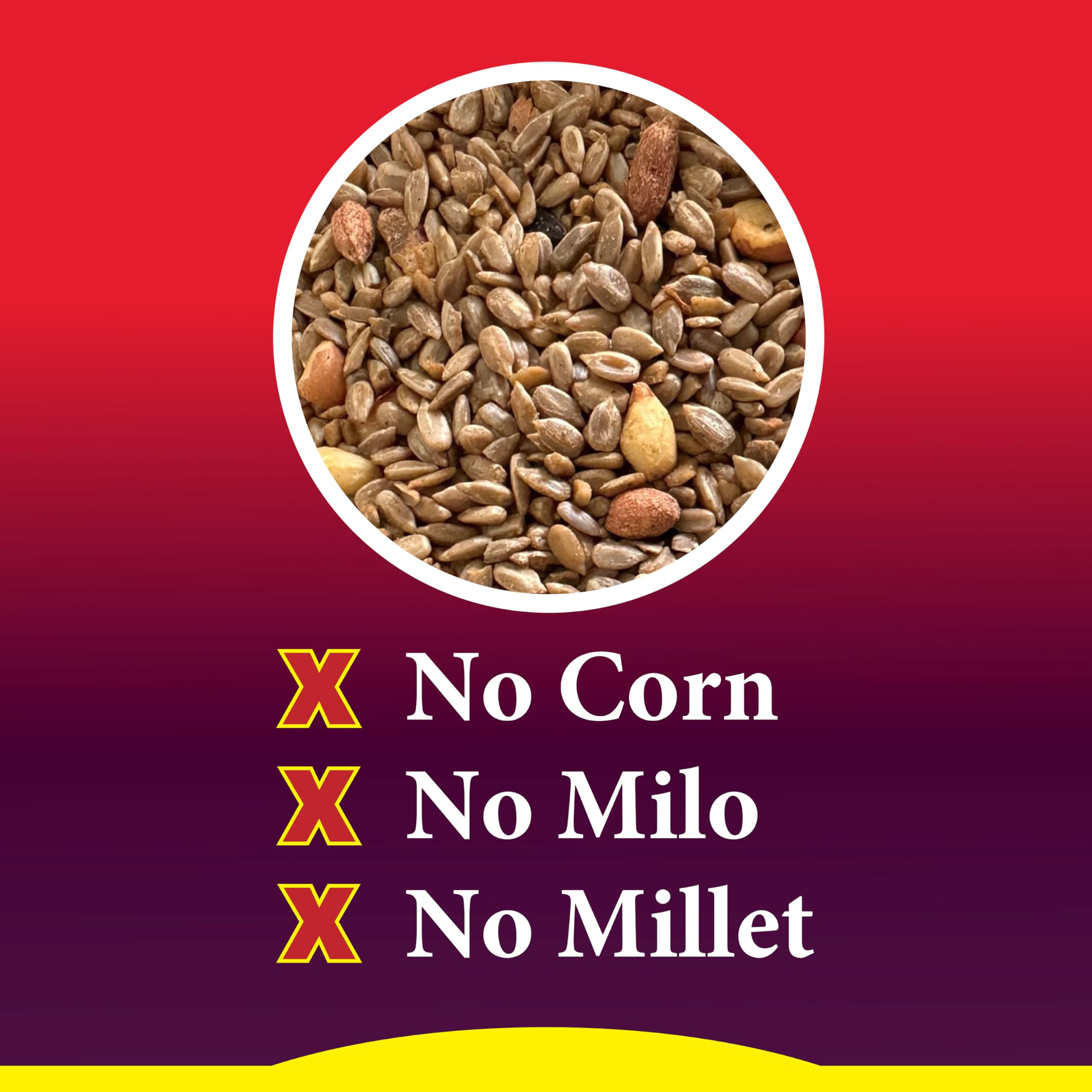 Wild Delight Squirrel Away Wild Bird Food ingredients close-up