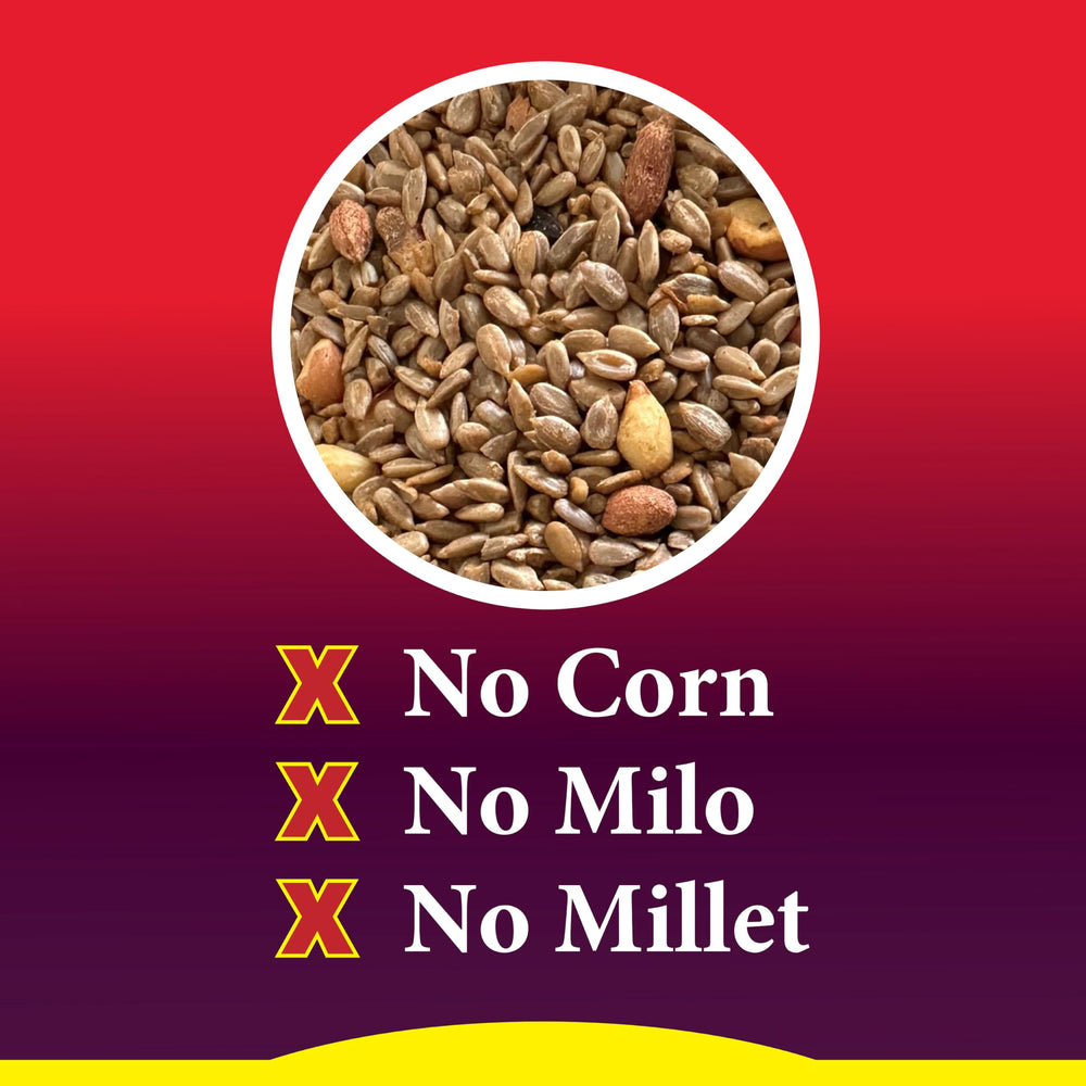 Wild Delight Squirrel Away Wild Bird Food ingredients close-up
