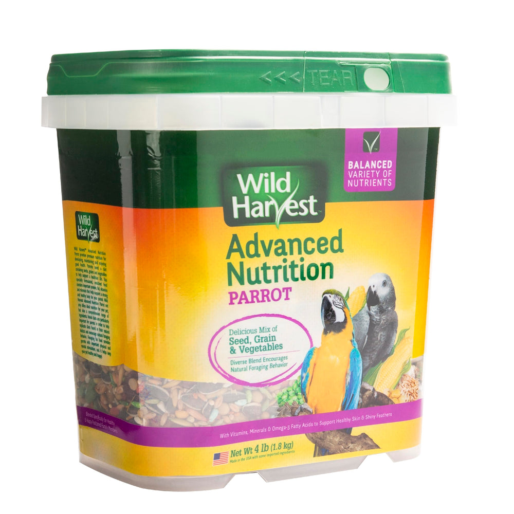 Wild Harvest Parrot Food displayed on a kitchen counter