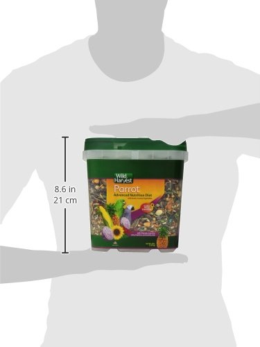 Wild Harvest parrot food in a bowl with seeds and vegetables