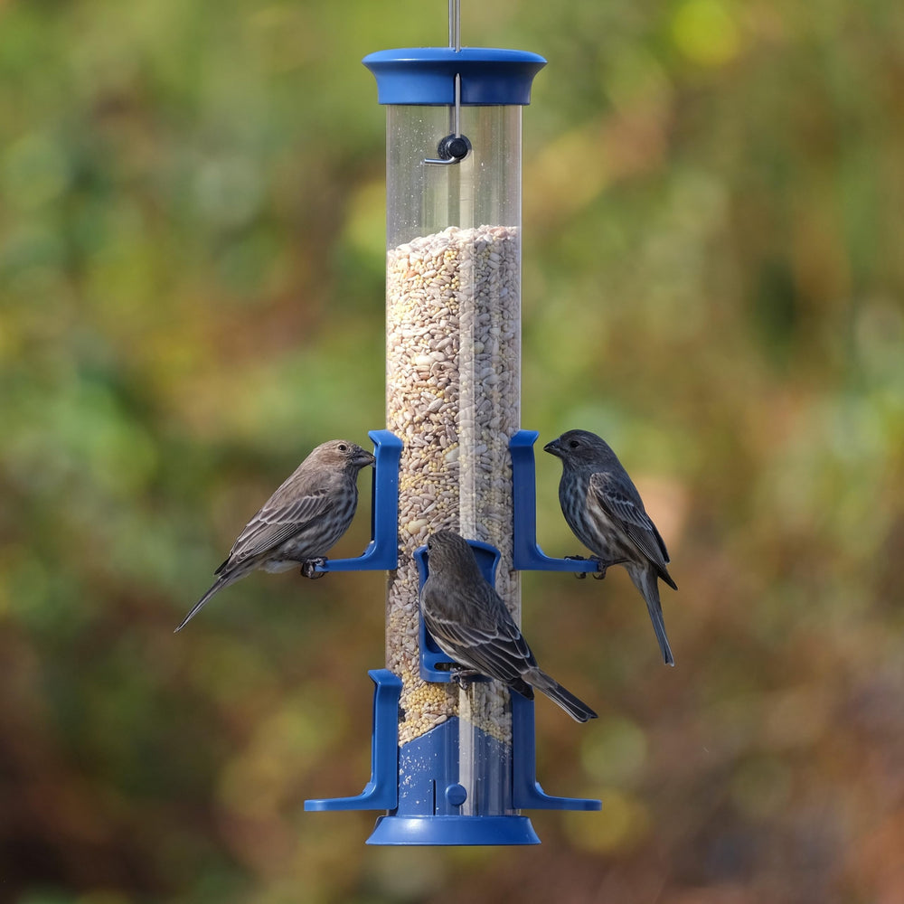 Wild Wings Plastic Seed Tube Bird Feeder with mounting hardware