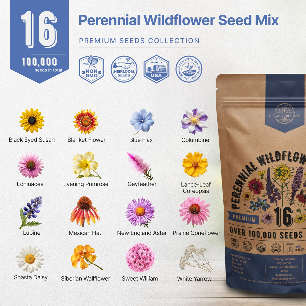 Wildflowers growing in a garden using Organo Republic seeds