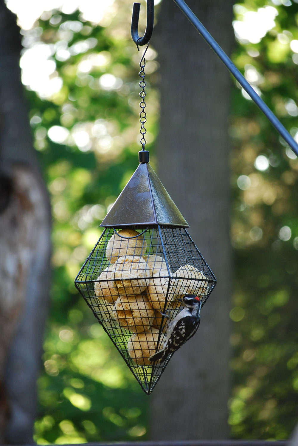 Wildlife Sciences Suet Ball placed in bird feeder
