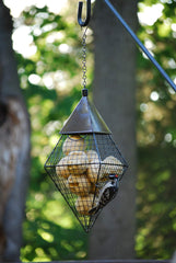 Wildlife Sciences Suet Balls close-up showing peanut pieces