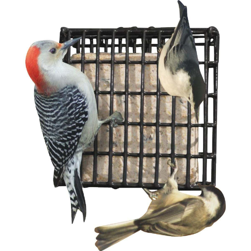 Wildlife Sciences Suet Plus Feeder with suet cake inside