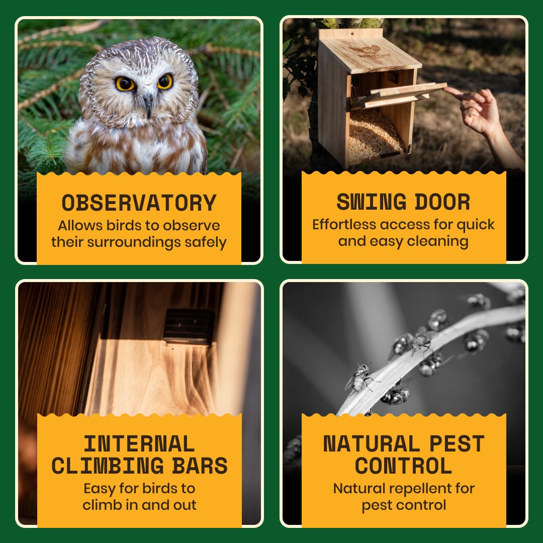 WildYard Barn Owl Nesting Box dimensions laid out