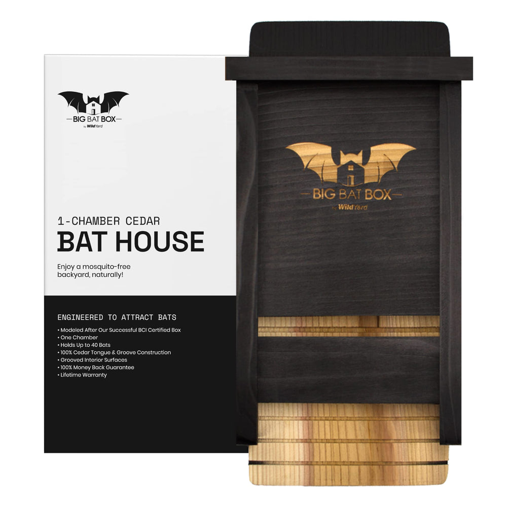 WildYard Bat Box black model side view with stainless steel finish