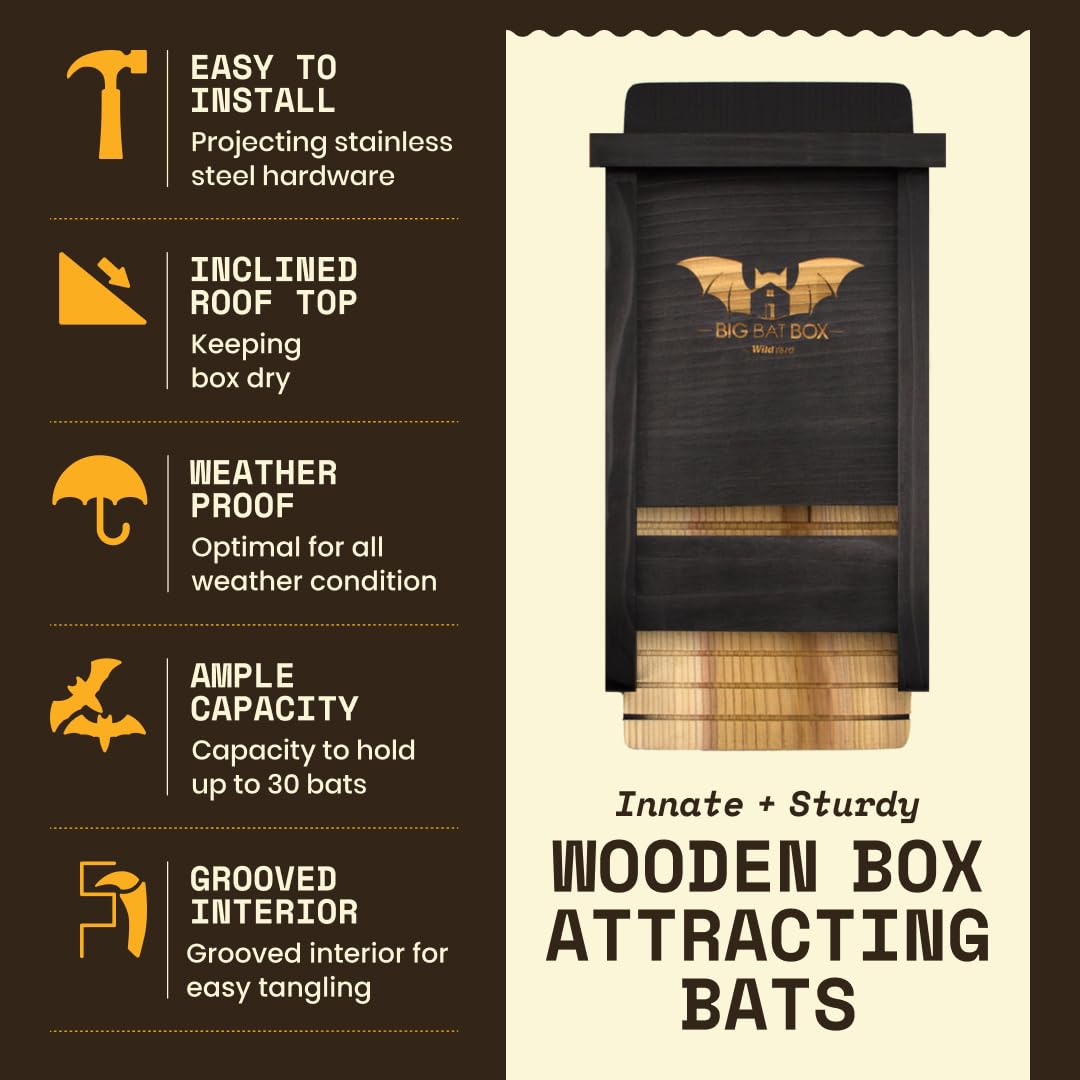 WildYard Bat Box front view with opening for bats