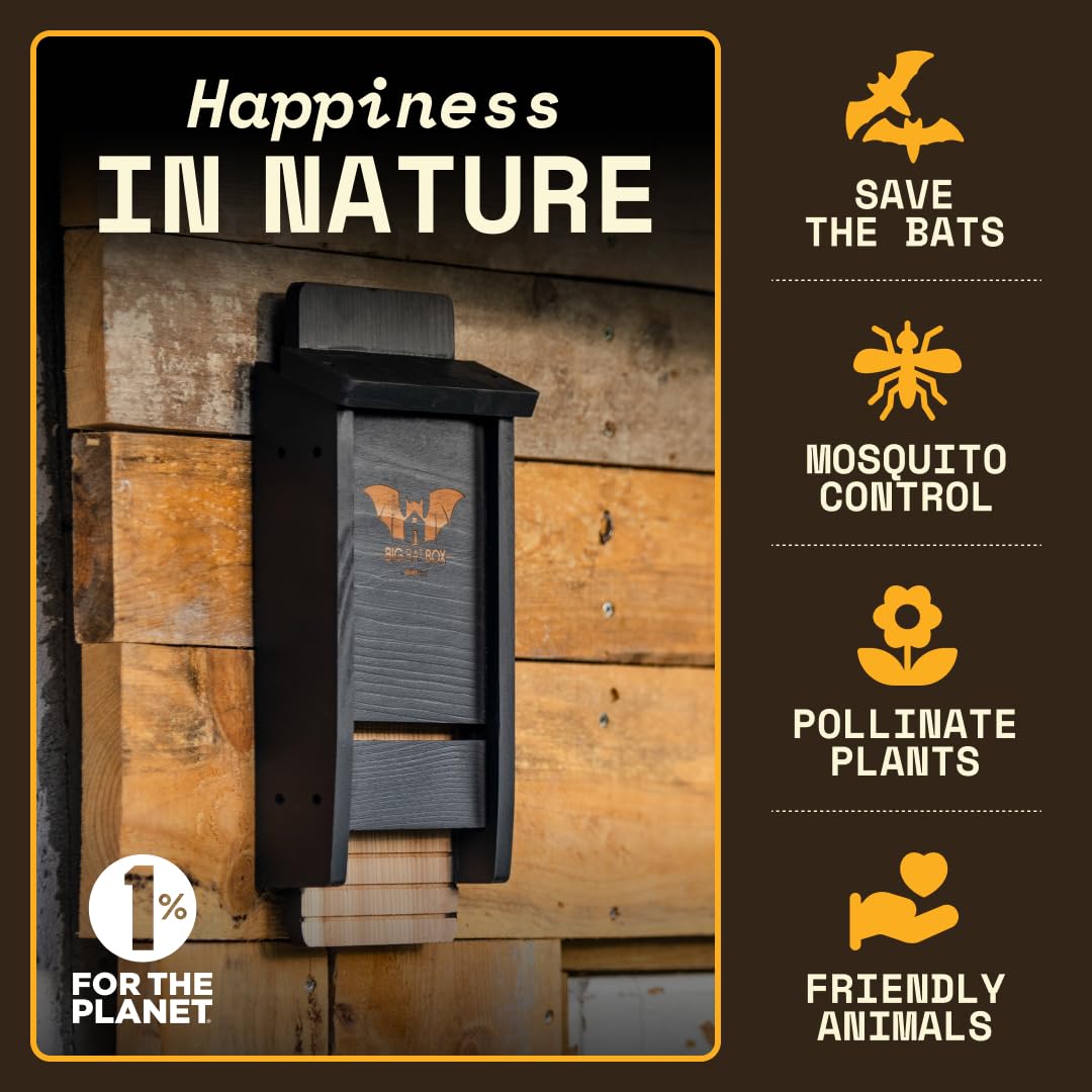 WildYard Bat Box mounted on a tree in an outdoor setting