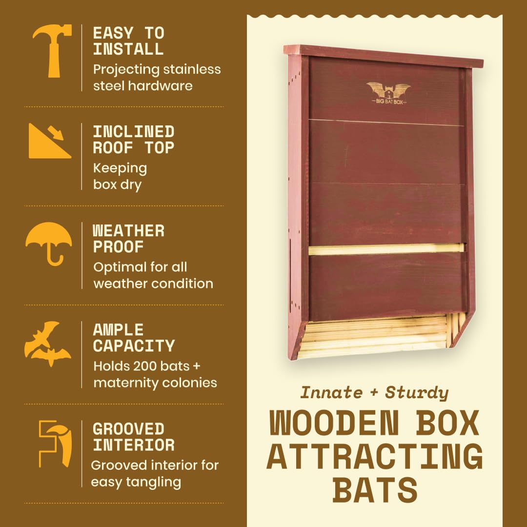 WildYard bat house installed on a tree
