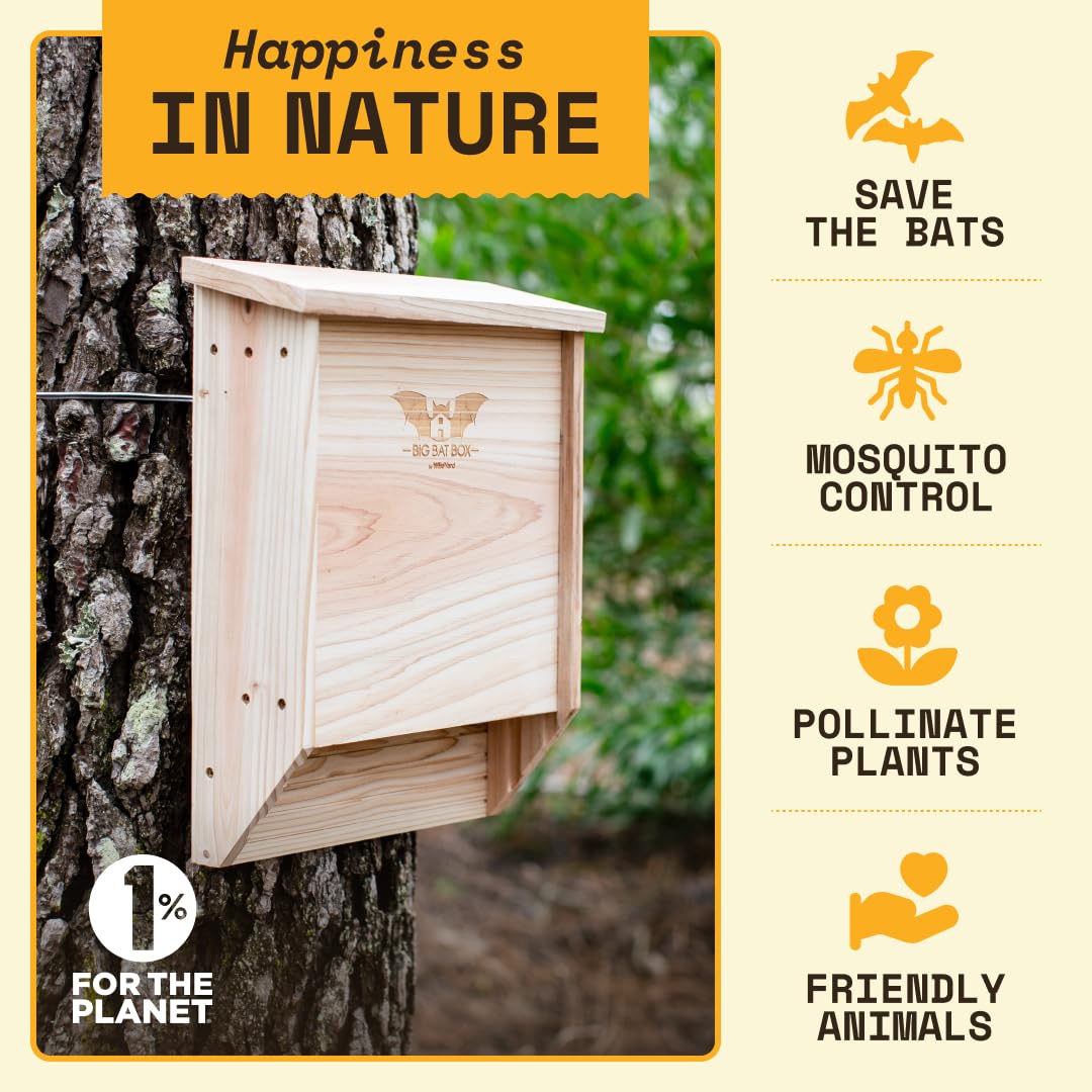 WildYard Bat House Kit side view showing two chambers