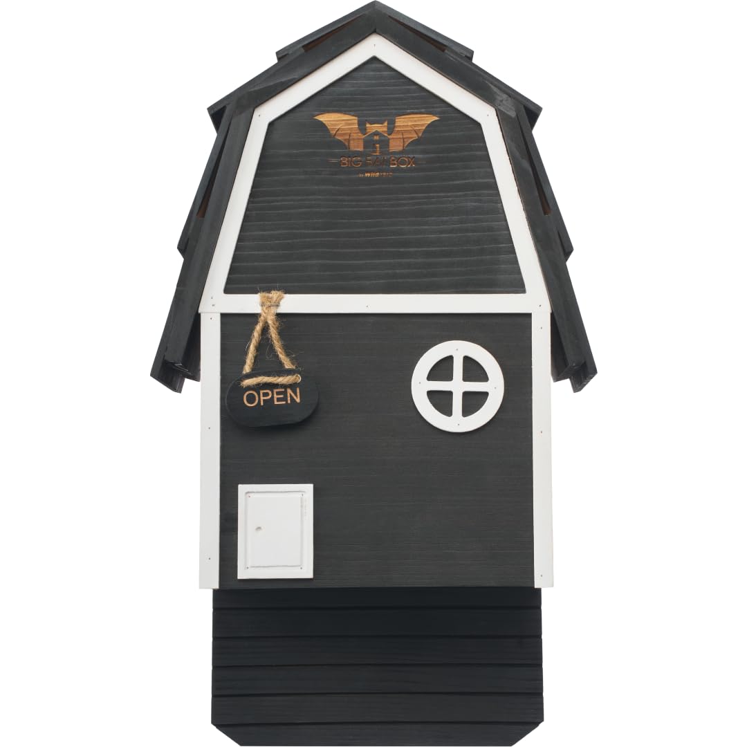 WildYard Big Bat Barn Junior black 2 chamber bat house front view