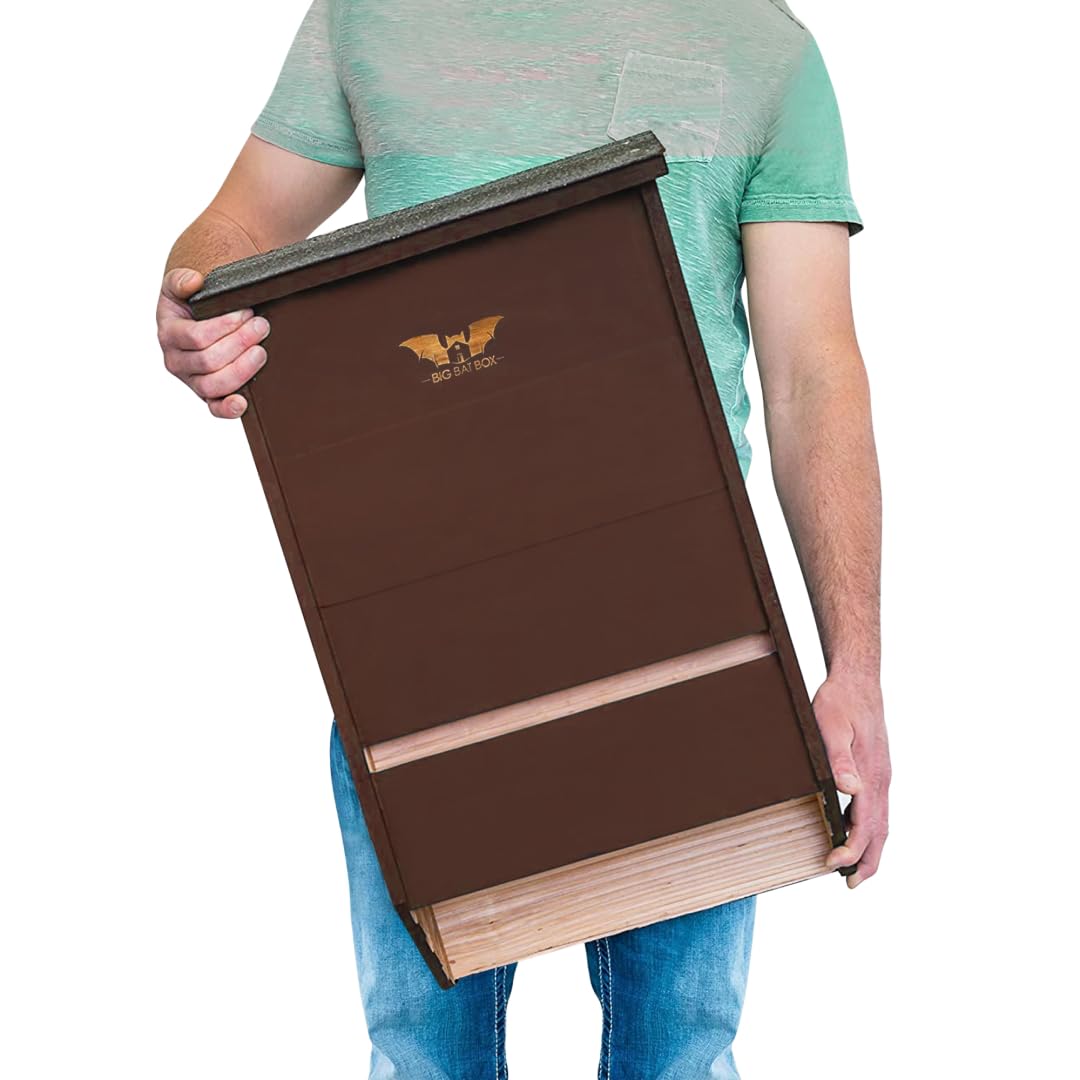 WildYard Extra Large 3 Chamber Bat House front view