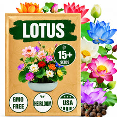 Wily Fox Rare Lotus Seeds packaging with pre-cut seeds