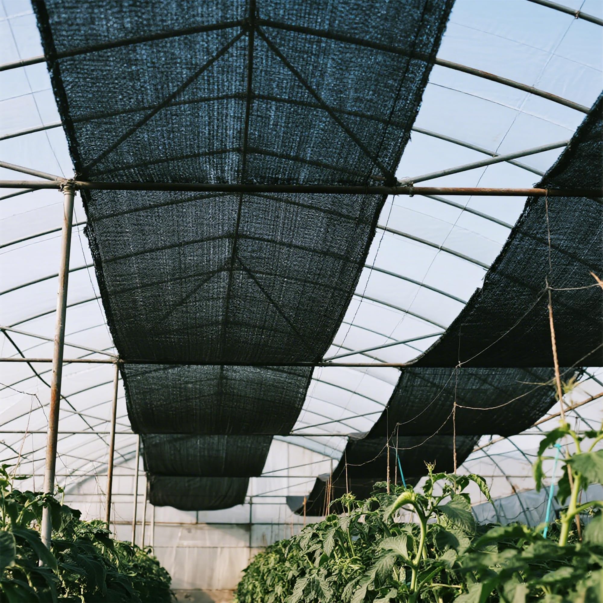 winemana Shade Cloth showing packaging and dimensions