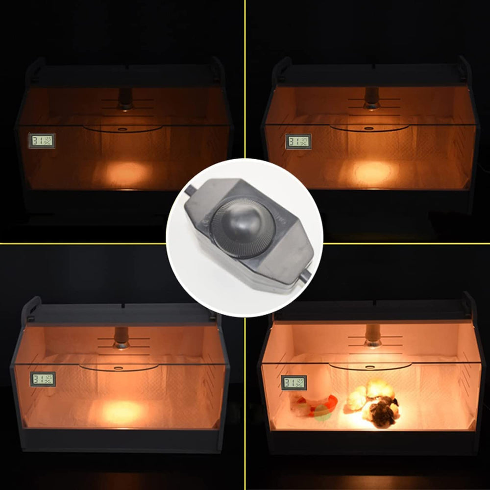 WIONBE Intelligent Brooder Box dimensions shown with chicks inside