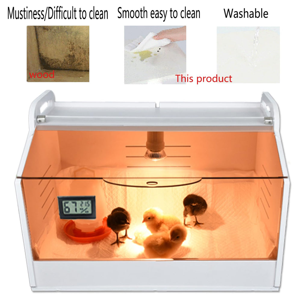 WIONBE Intelligent Brooder Box showing internal heating lamp and components