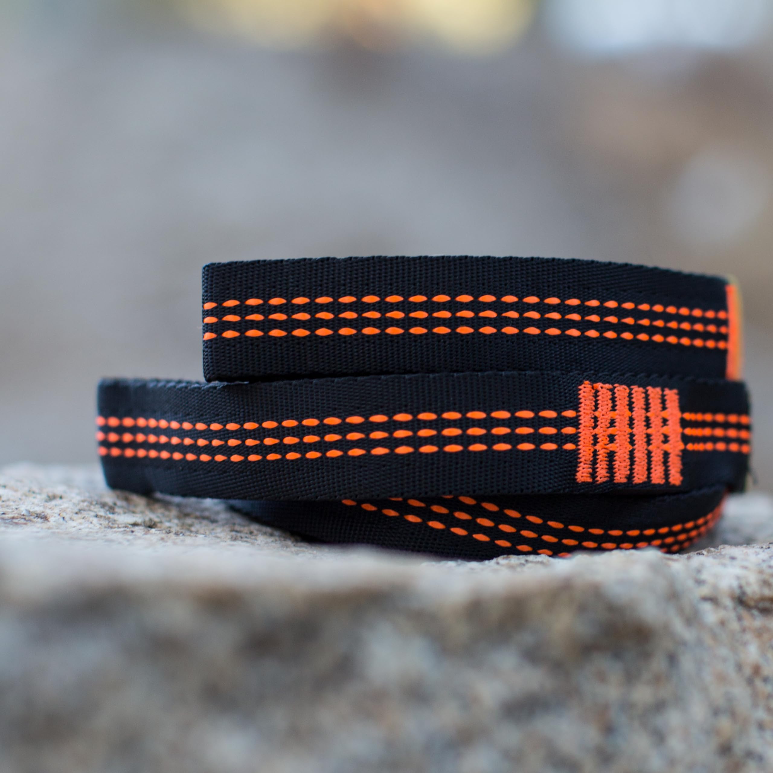 Wise Owl hammock straps wrapped around a tree trunk