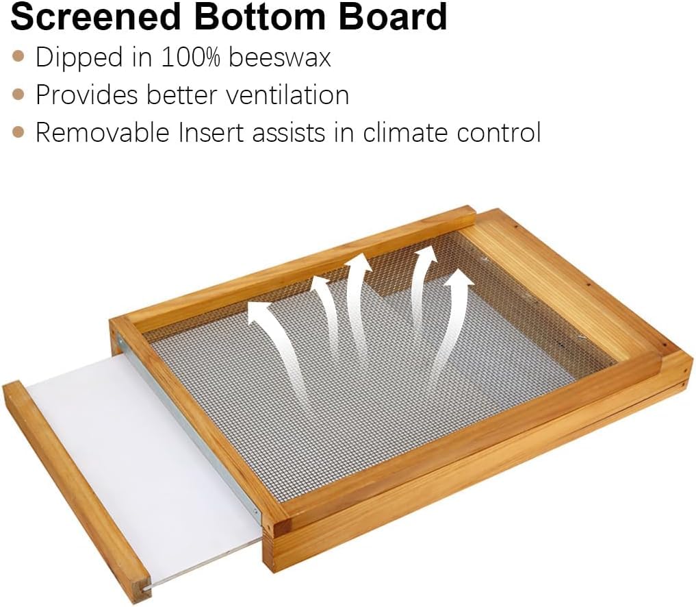 witbee Beehive Screened Bottom Board in a beekeeping setup