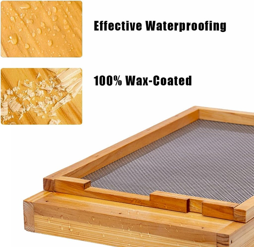 witbee Beehive Screened Bottom Board with dimensions displayed