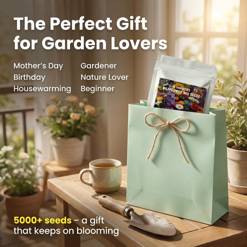 Wivolibe Wildflower Seeds mix with various flower varieties