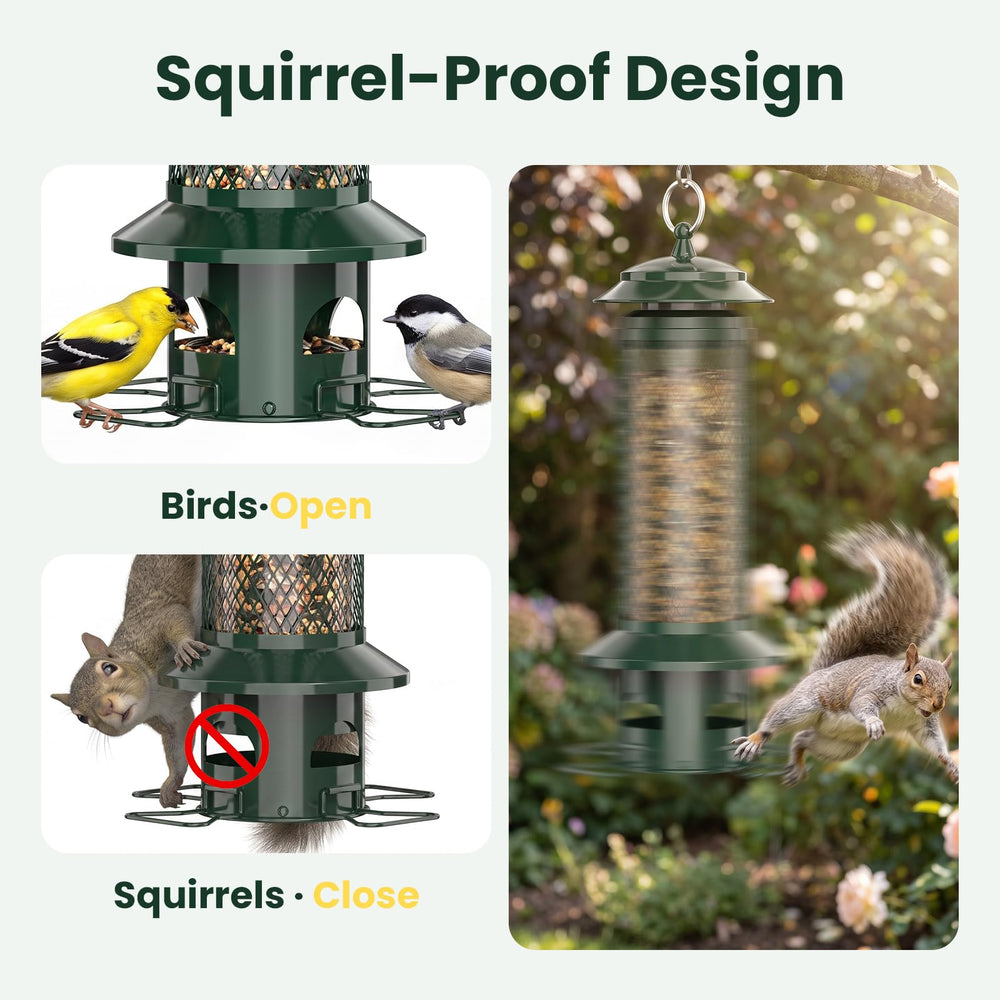 WLNYUGS Bird Feeder with curved perches for backyard birds