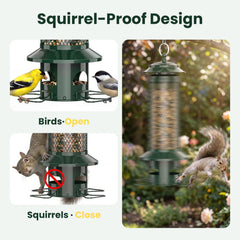 WLNYUGS Bird Feeder with curved perches for backyard birds