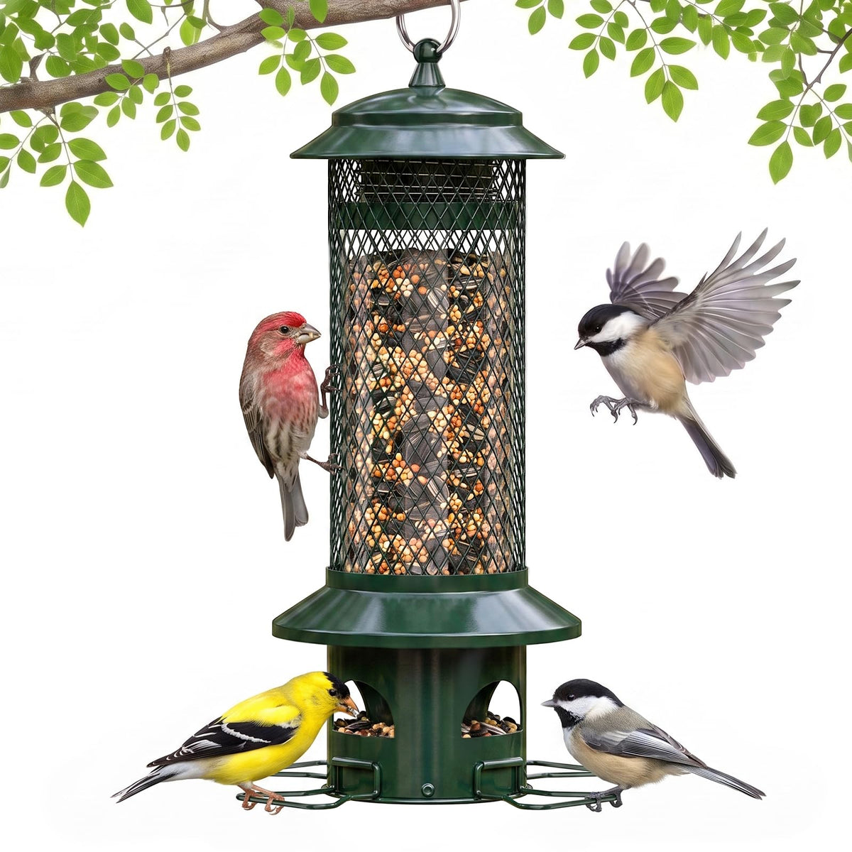 WLNYUGS Squirrel Proof Bird Feeder front view in green