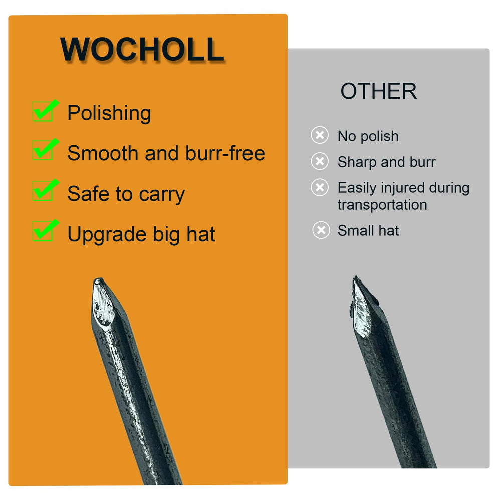 WOCHOLL landscape stakes in use securing paver edging
