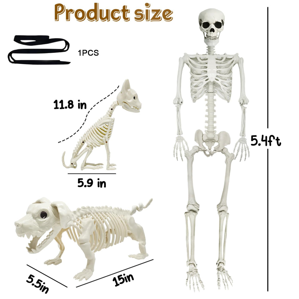 WODMAZ Halloween skeleton set assembled in a garden