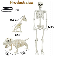 WODMAZ Halloween skeleton set assembled in a garden