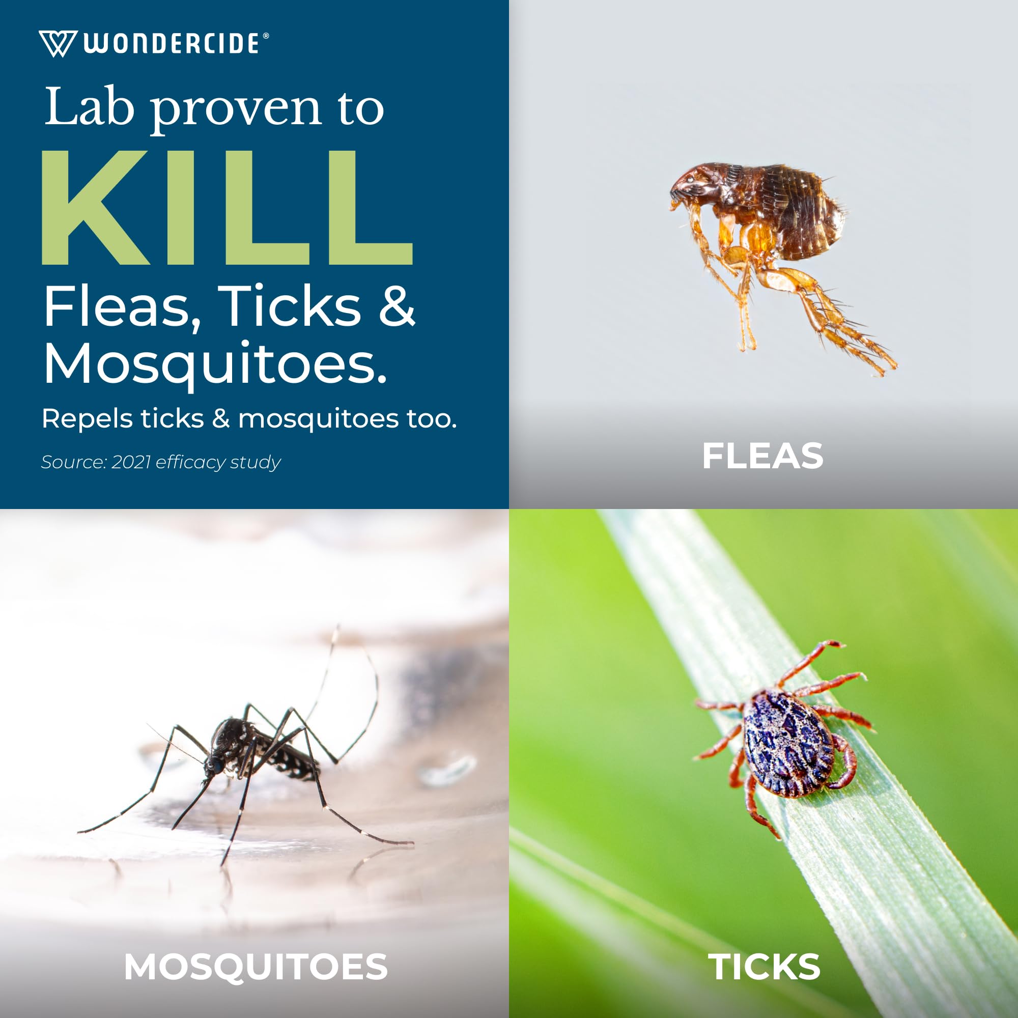Wondercide Flea and Tick Spray in garden setting