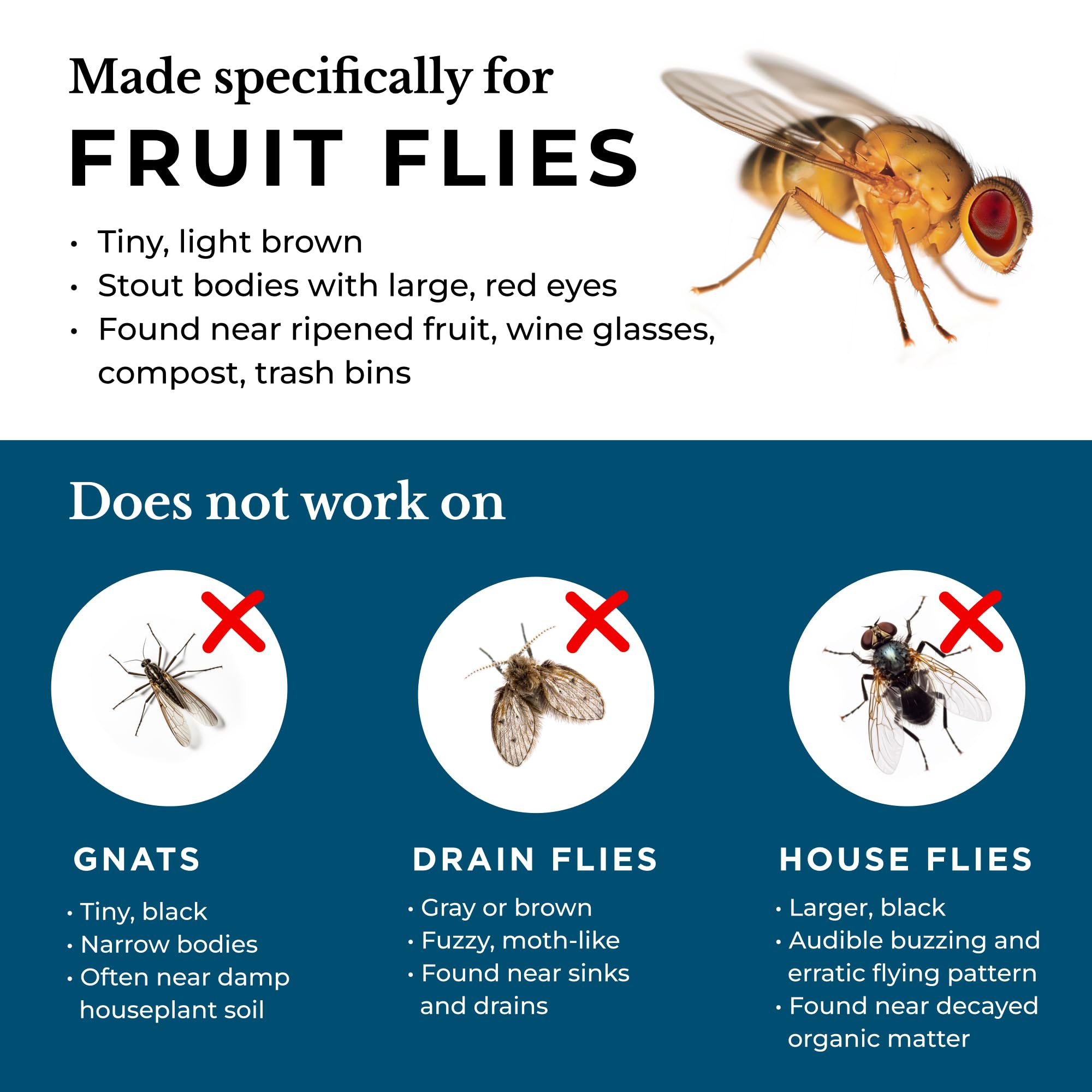 Wondercide Fruit Fly Trap close-up of cap