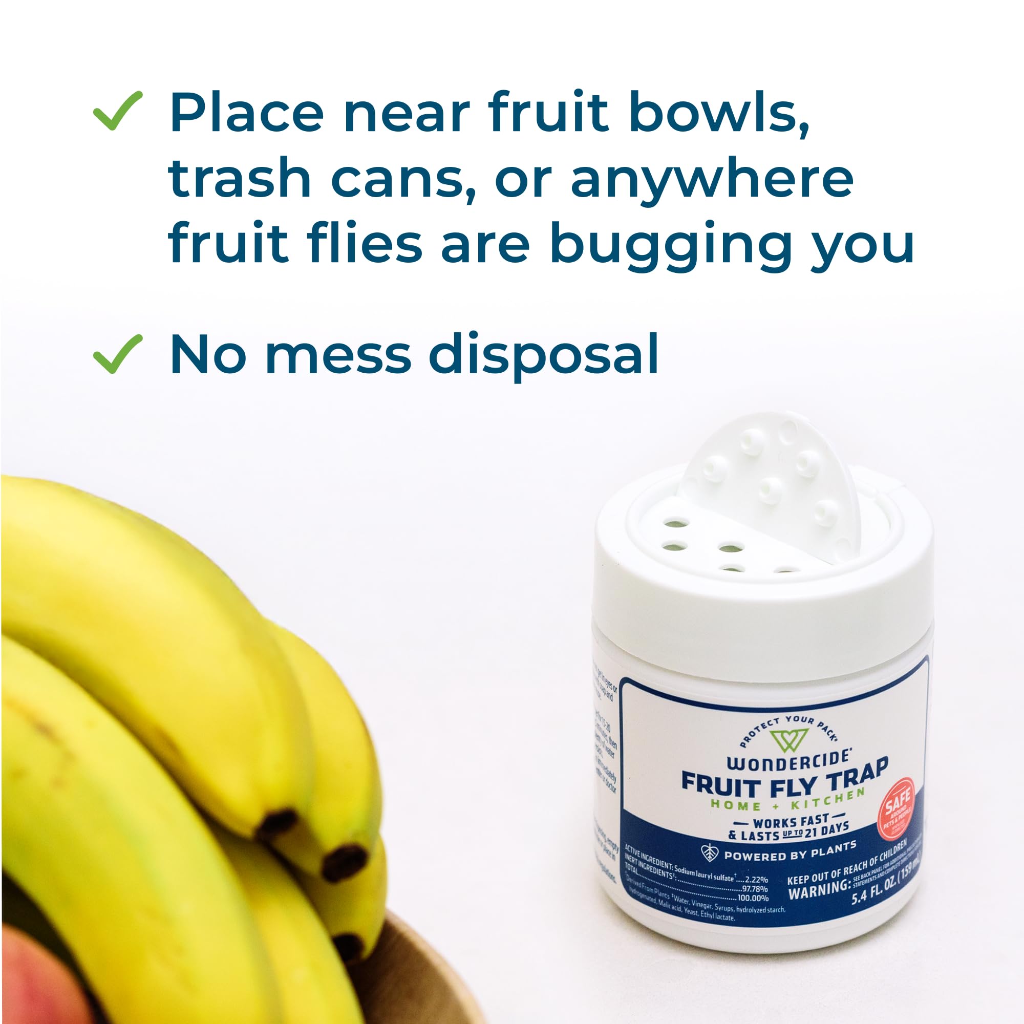 Wondercide Fruit Fly Trap in a clean kitchen environment