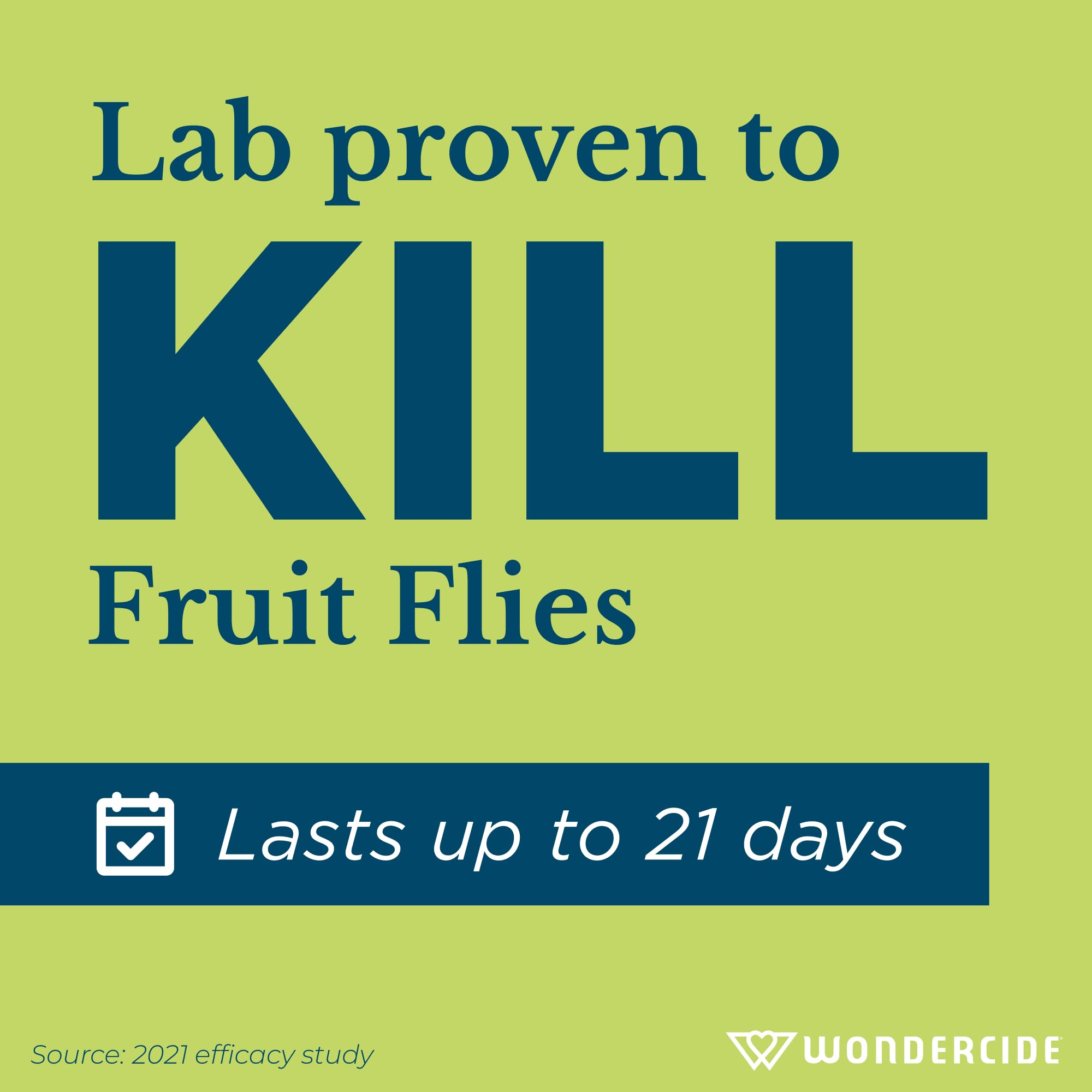 Wondercide Fruit Fly Trap placed near kitchen sink