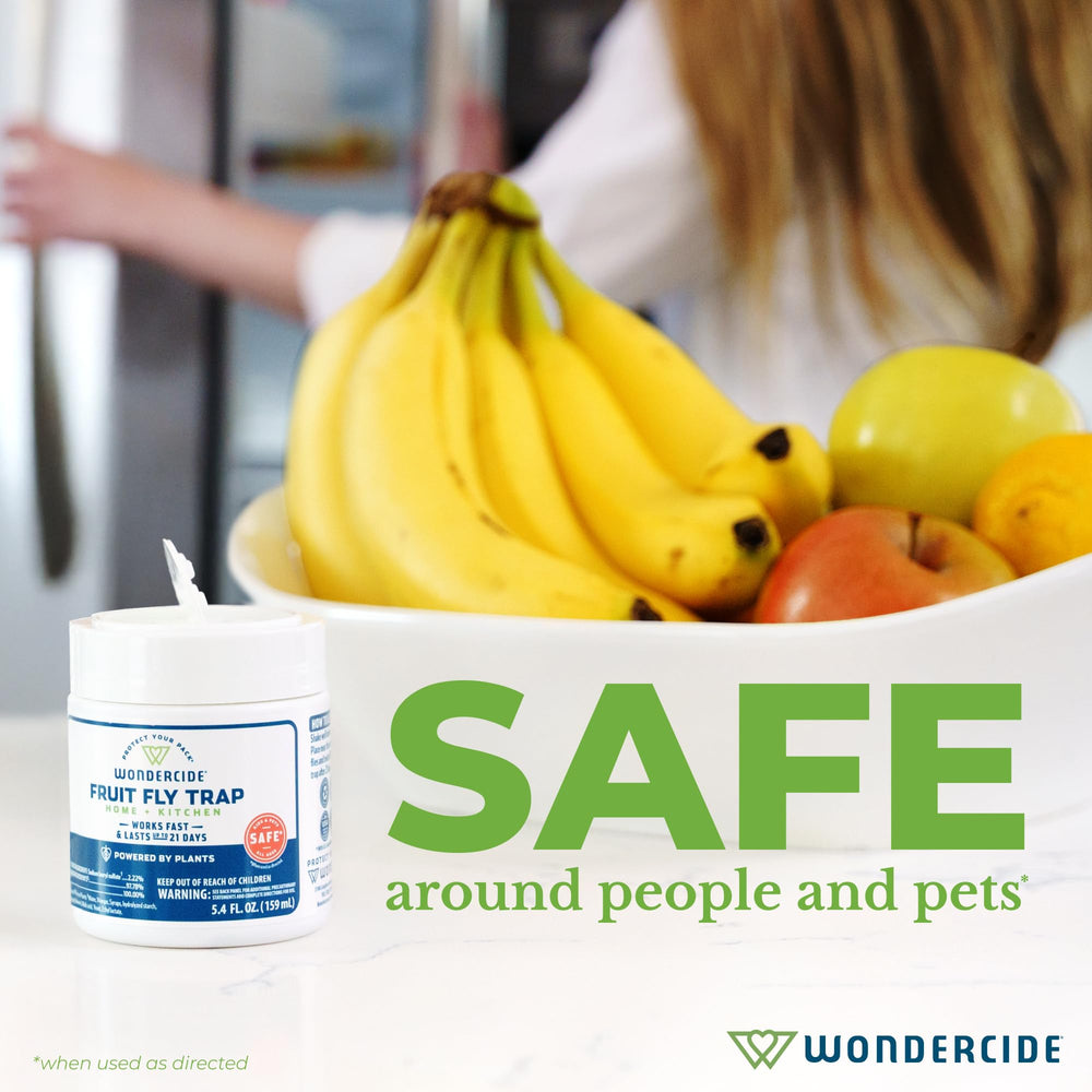 Wondercide Fruit Fly Trap setup in dining area