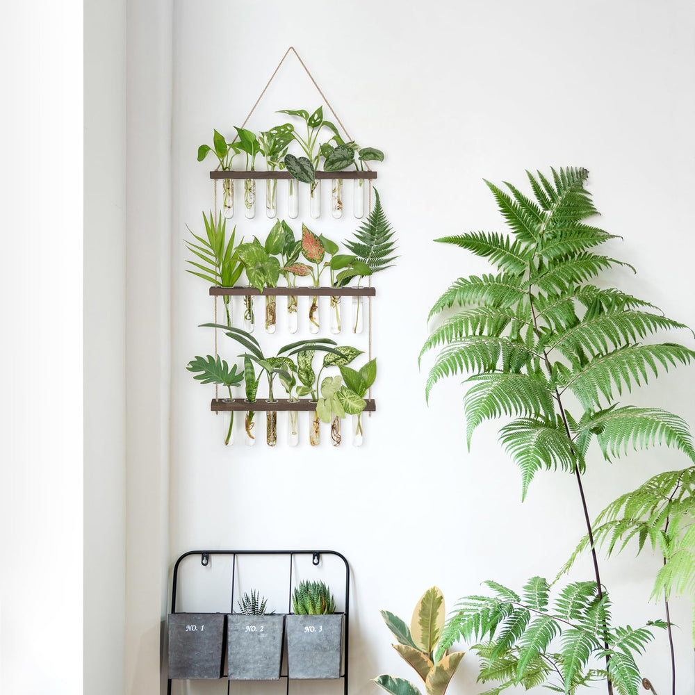 Wooden frame of Mkono Plant Propagation Station